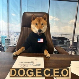 DOGE.CEO Coin: The MEME Coin leading the DOGE revolution, fueled by hype!