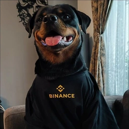 Dogs Coin: MEME Coin Revolution - BinanceDog On SOL's Next Big MEME