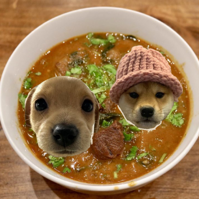 DogSoup MEME Coin: Dive into the Dog Soup Coin MEME sensation today!