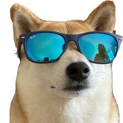 DOGWIF Coin: Dive into MEME Coin Fun with Dog WIF Sunglasses