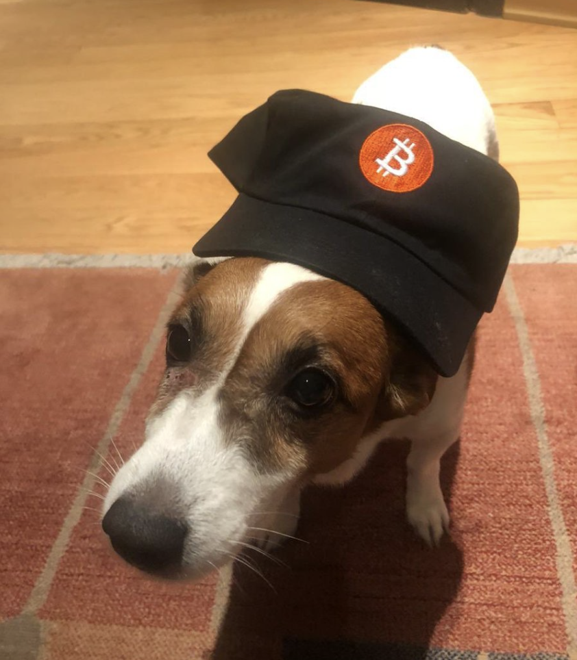 dogwifbtc: The Ultimate MEME Coin for Dog Lovers! #dogwifbtc #MEMECoins