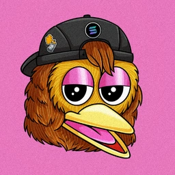 DUCKY MEME Coin: DuckyDuck Coin - Join Matt Furie's Boys Club Legacy