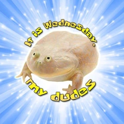 Dudes Coin: The MEME Coin Inspired by 'It is Wednesday, My Dudes' Meme