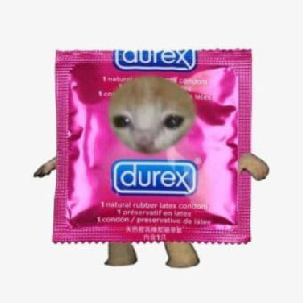 DUREX Coin: Bold MEME Coin, Mini Condom Cat, Taking Market by Storm!