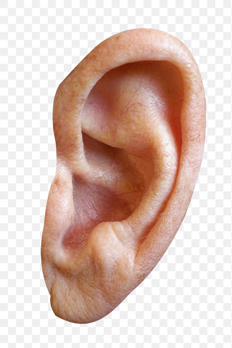 Ear Coin: Trump's Ear MEME Coin - Join the Viral MEME Coin Craze!