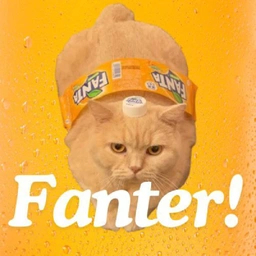 Fanter Coin: Fizzy MEME Coin Fun with $Fanter the Fanta Cat!