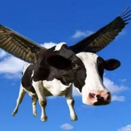 FCC Coin: Flying Cocaine Cow MEME Coin—Join the Thrilling MEME Coin Buzz