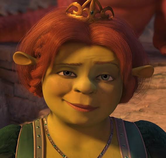 FIONA Coin: Princess Fiona MEME Coin - Embrace 'You didn't slay the dragon?!'