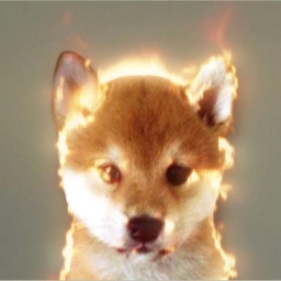 FIRE Coin: MEME Coin with blazing Fire Dog mascot brings the heat!