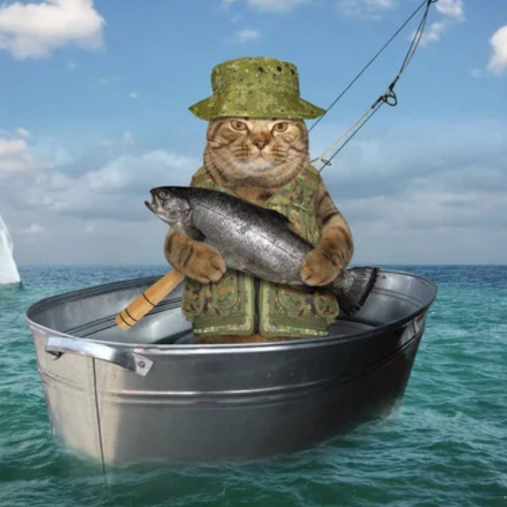 FISH Coin: The Fisher Cat MEME Coin Making Waves Today!