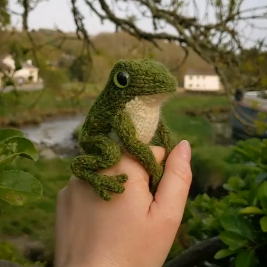 FROGGY Coin: Actual No1 TikTok Frog, Join the MEME Craze!