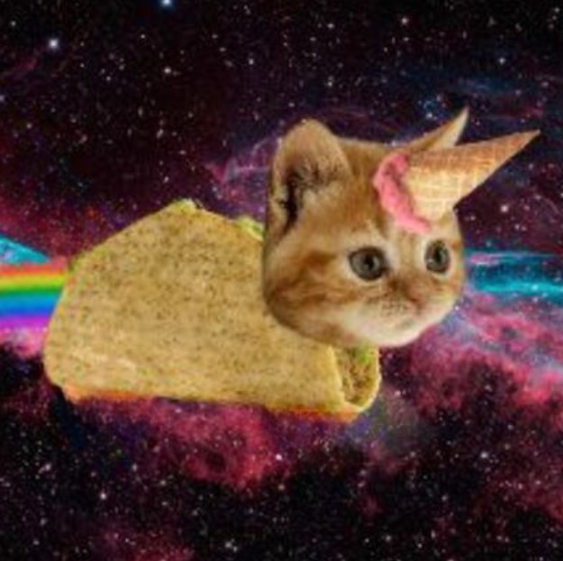 FTIC Coin: Flying Taco Icecream Cat MEME Coin – Flavor & Fun Combined