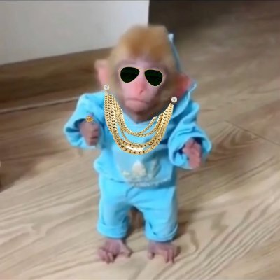 GALVIN Coin: MEME Coin with the Drippiest Monkey – GALVIN GOT DRIP