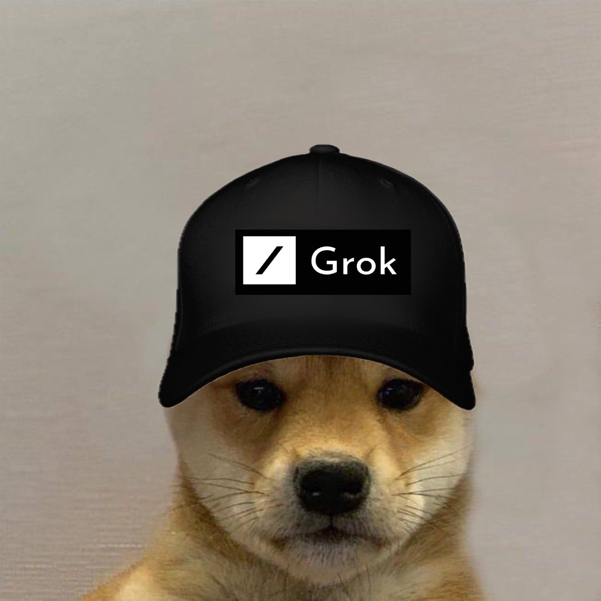 GROGWIF Coin: MEME Coin Endorsed by Elon Musk—Get Your GROGWIFHAT Today!