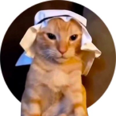 Habibi Cat Coin: The Ultimate MEME Coin for Meme and Crypto Lovers