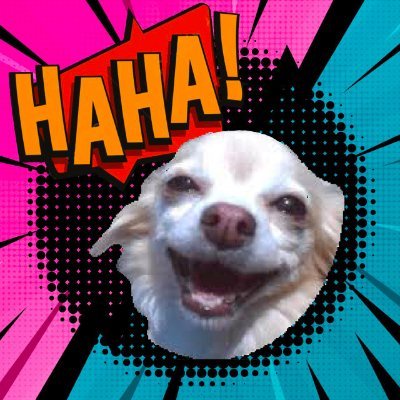 HAHA Coin: Join the MEME Coin craze with The Chihaha Dog's laughter!