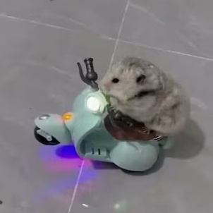 Vespa Coin: Hamster Riding Vespa MEME Coin with Fun & Potential!