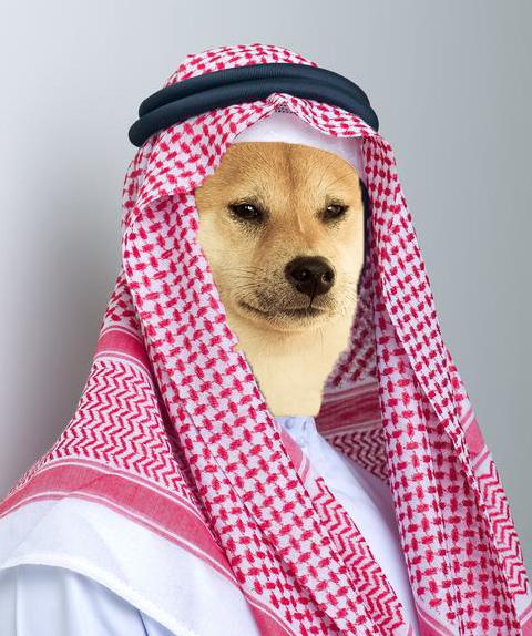 HASHIBI Coin: MEME Coin Sensation - Join Hashibi & Rule the Saudi Dogs!