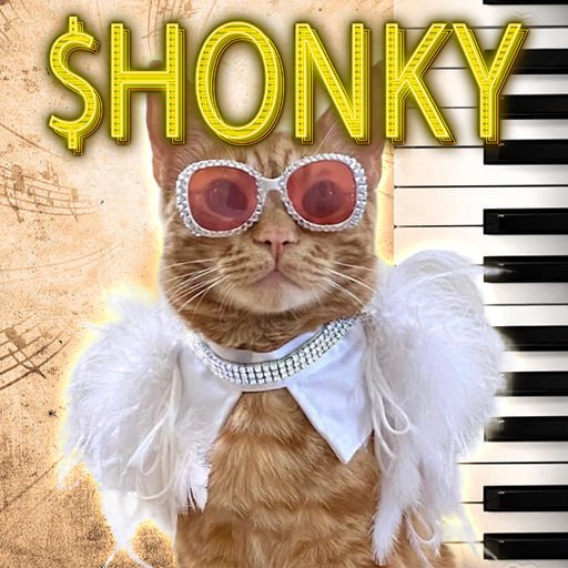 HONKY MEME Coin: Honky Cat Coin - Fun MEME Coin for Music Lovers