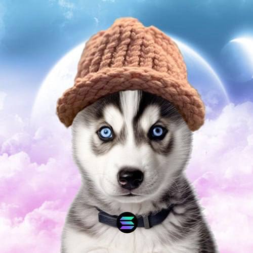 Huskyf Coin: Ultimate dog MEME Coin! Reach the moon with Huskyf Coin!