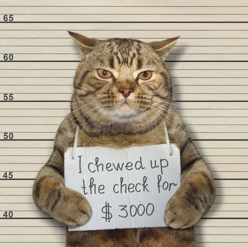 CUFF Coin: Jail Cat's MEME Misadventures on MEME Coin Site