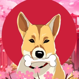 KEN Coin: The Original MEME Coin Inspired by Dogecoin Dog Kabosu 🐕