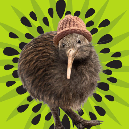 KIWIF Coin: MEME Coin Fun - Quirky Kiwi Hat MEME Coin Adventure!