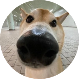 Kuribo Coin: MEME Coin Kuribo - Popular Dog, Touch Nose & Subscribe Now!