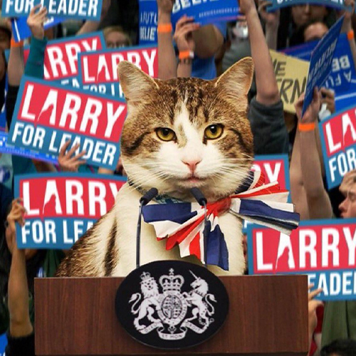 LARRY Coin: Join the MEME Coin revolution with Prime Minister Cat!