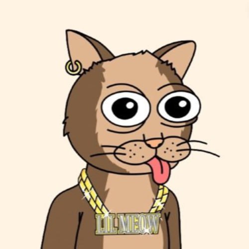 LIL MEOW Coin: Join the MEME Coin Revolution with LIL - Game On!