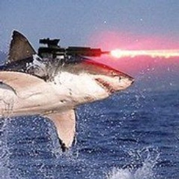 LS Coin: Laser Shark MEME Coin making waves in the crypto ocean