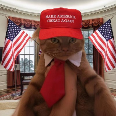 MAGA Coin: Unleash MEME Coin Power in MAGA CAT Coin Fight!