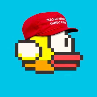 MAGAB Coin: Unleash the MEME Coin Power with MAGA BIRD! #MAGAB