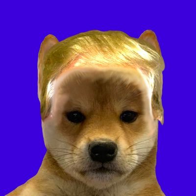 MAGAWIF Coin: MEME Coin Trump Dog for President in a Political Revolution