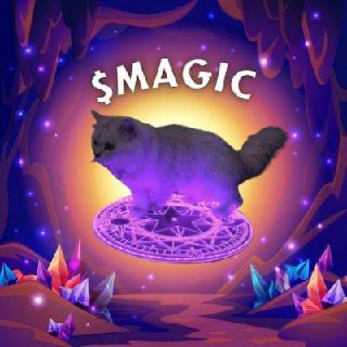 MAGIC Coin: Dive into Magic Cat, the Latest MEME Coin Sensation!