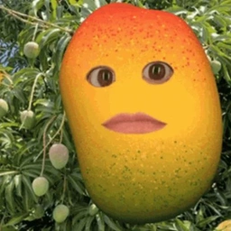 MANGO Coin: MEME Coin magic from 'Mango on Sol' - cult hero!