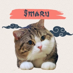 MARU Coin: Join the MEME Coin revolution with Maru Cat