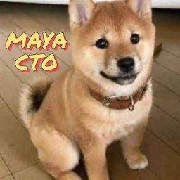 MAYA Coin: Meme Coin Born from Chaos, Fully Community-Driven! Join Now!