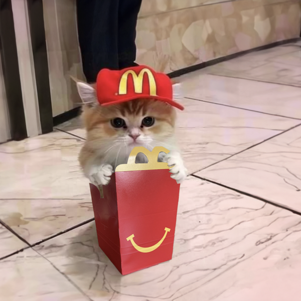 MCMILLI Coin: The Tastiest Kitty MEME Coin to Cure Sad Vibes!