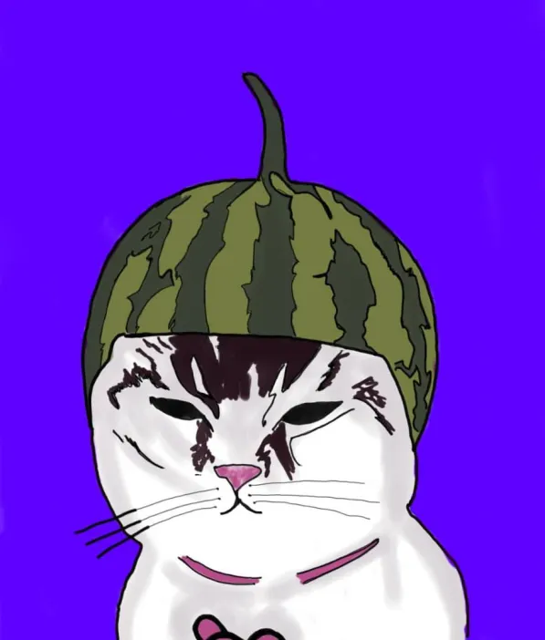 MELON Coin: Turn Your Cat into the Ultimate Melon Cat with MEME Coin! 🍉😺