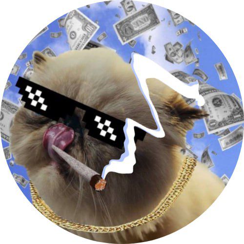 MIGGLES Coin: The Latest Cat MEME Coin Led by Mr. Miggles