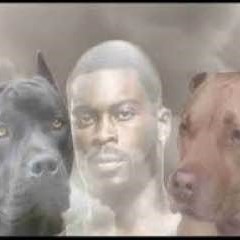 NODOGS MEME Coin: Inspired by Mike Vick's Dog Ring, No More Dogs