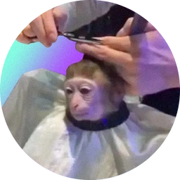 monk Coin: The Latest MEME Coin Inspired by monkeyhaircut Trend