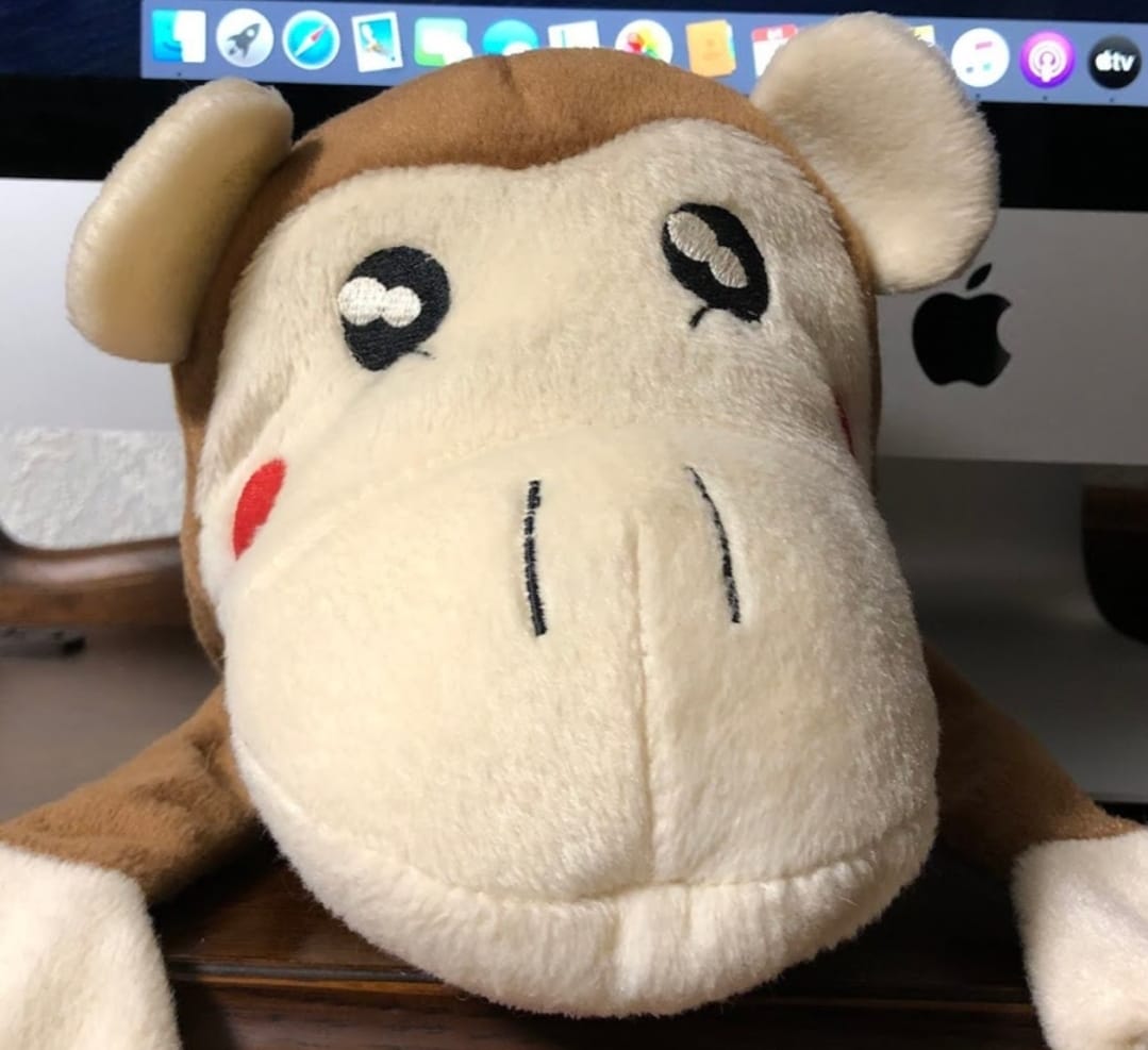 monke: Introducing the Ultimate MEME Coin Inspired by Kabosu's Plushie