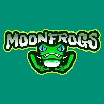 Moonfrog Coin: The Ultimate MEME Coin Aiming for the Stars!