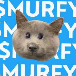 MURFY: MEME Coin mystery – Dog or Cat? Discover MURFY Coin now!