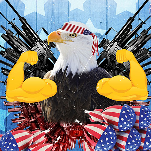 MURICA Coin: Patriotic MEME Coin - American Bird's Bold Freedom