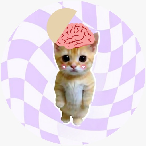 NMAO Coin: NEURA MAO MEME Coin - The Official Neuralink Chinese Cat Coin