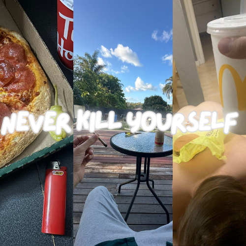 Never Kill Yourself: the life-changing 'Never' MEME Coin - a precious cryptocurrency that celebrates the value of life.