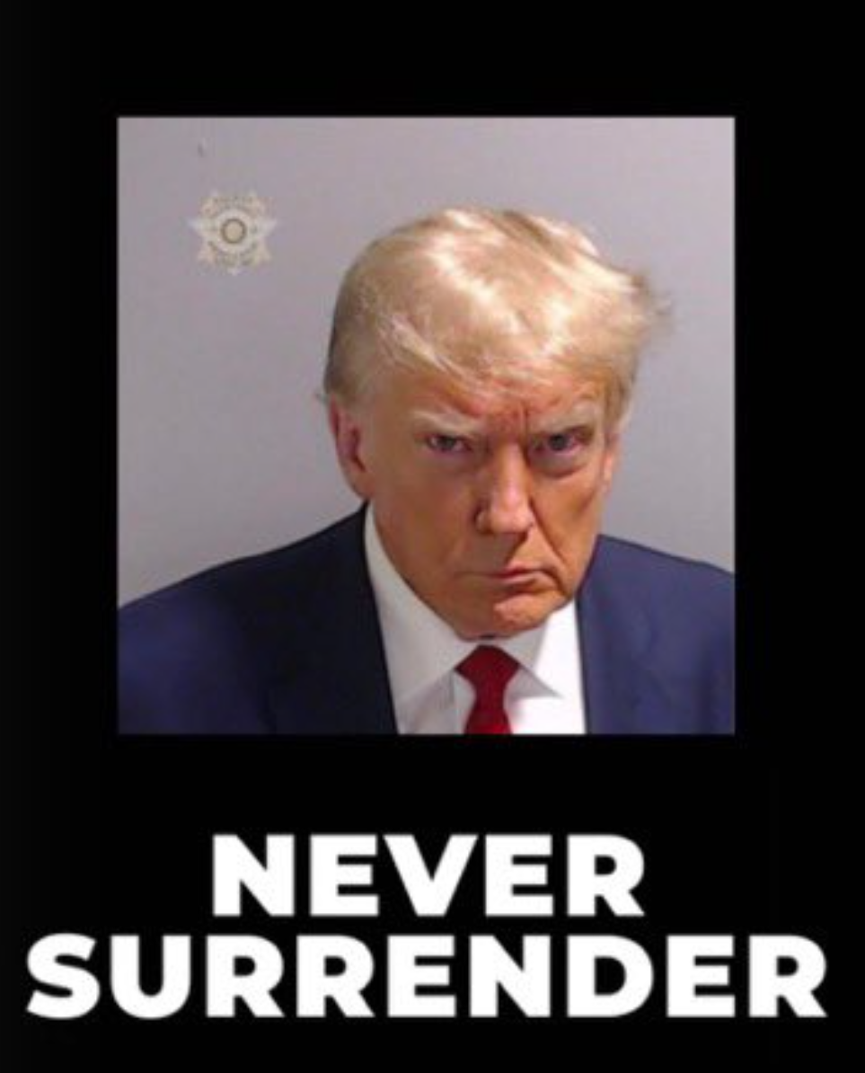 TRUMP Coin: Join the Movement with NEVER SURRENDER MEME Coin